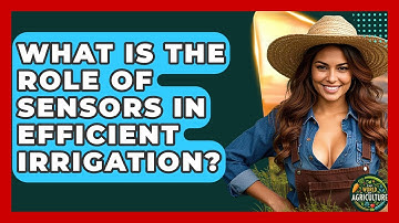 What Is The Role Of Sensors In Efficient Irrigation? - The World of Agriculture