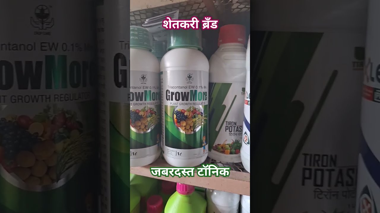 Crop Care Pesticides Pvt Ltd plant Growth Regulator Grow More YouTube Crop Care Pesticides Pvt Ltd plant Growth Regulator Grow More YouTube