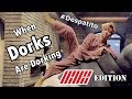 When Dorks Are Dorking | iKON EDITION (Funny Moments)