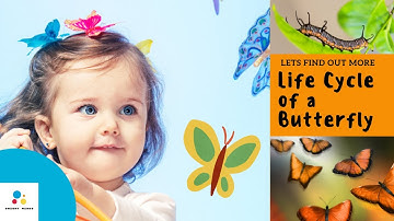 Life Cycle of a Butterfly for Kids | Science for Kids | Science Video for Kids