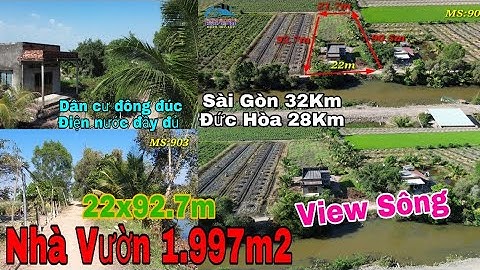 Nhà vườn Long An | Nhà vườn View Sông | Nhà cấp 4 đẹp giá rẻ có cây ăn trái