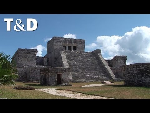 Video: Riserva della biosfera di Voronezh. Riserva della Biosfera del Caucaso. Riserva della Biosfera del Danubio