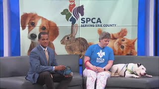 SPCA Monday: Chance