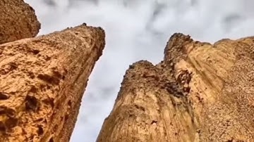 سورة الإنسان تلاوة هادئة 