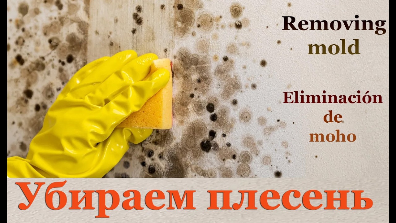 Убираем плесень ( грибок) .  Mold Removal.  Eliminación de moho