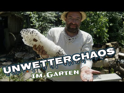 Gartenrundgang im Juli