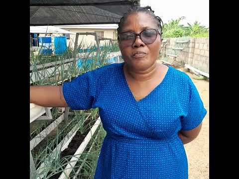 Soilless Farming, taught