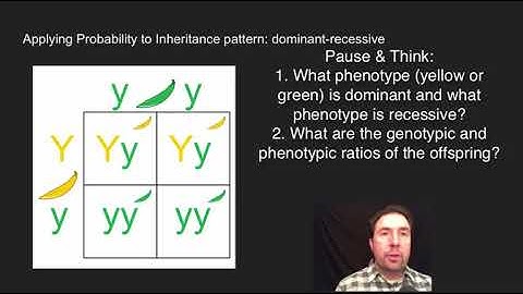 Heredity- Inheritance and Variation of Traits Video 3