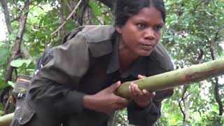 CPI Maoist New JNM Video Song