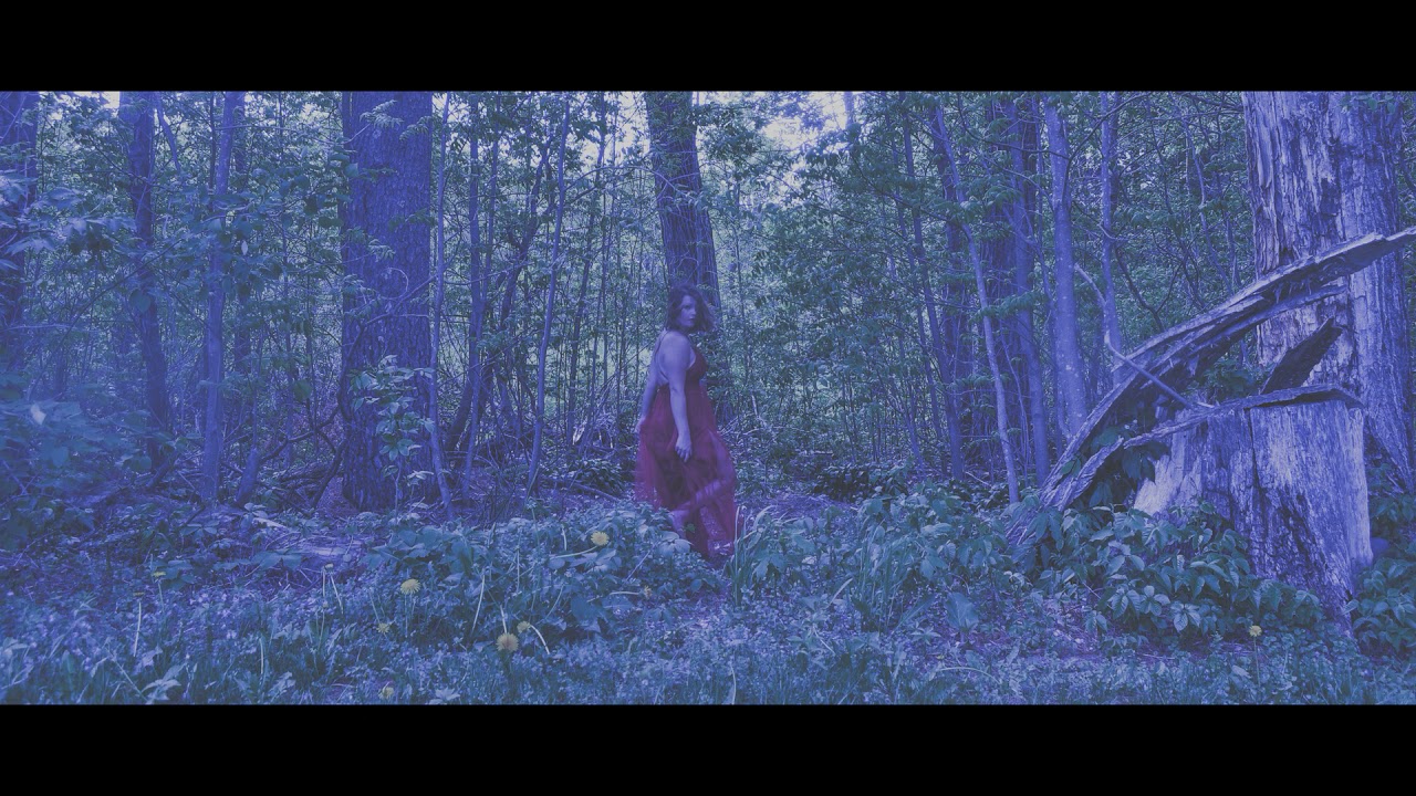 Acting Stupid, the lyric video