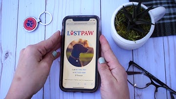 How to Scan for NFC with iPhone XS, XR, 11 and 11 Pro