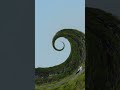 Pictures From Cattus Island Experience PT. 1