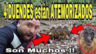 DUENDES CAPTADOS en su casita su voz no es de este mundo (duendes reales) parte 14