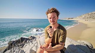 Celebrity 5 Years Ago I Quit My Engineering Career. 4 Years Ago I Started Van Life. How Did I Get Here? Wealth