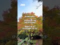 Puget Sound forecast (Oct. 19, 2026)
