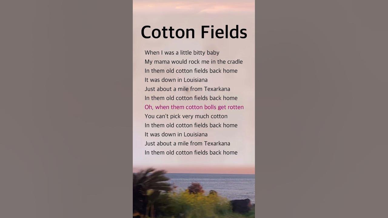 Cotton Fields | Creedence Clearwater Revival