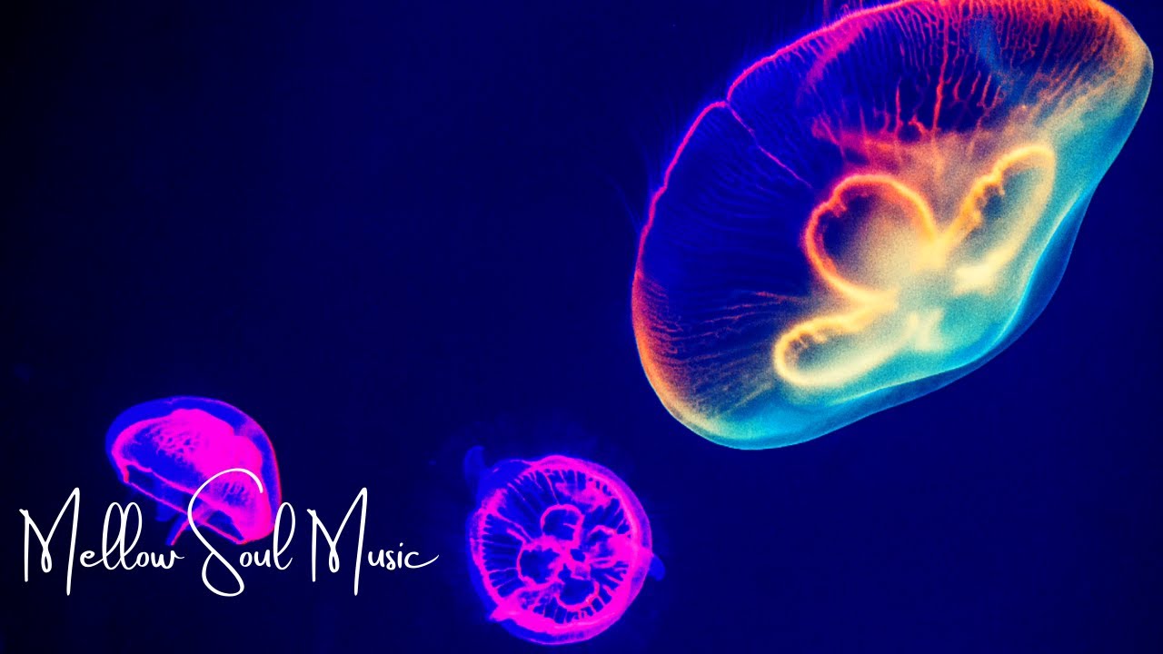 Soft and Deep | Low frequency tones for Deep Concentration, Focus, Inspiration, Creativity, Memory.