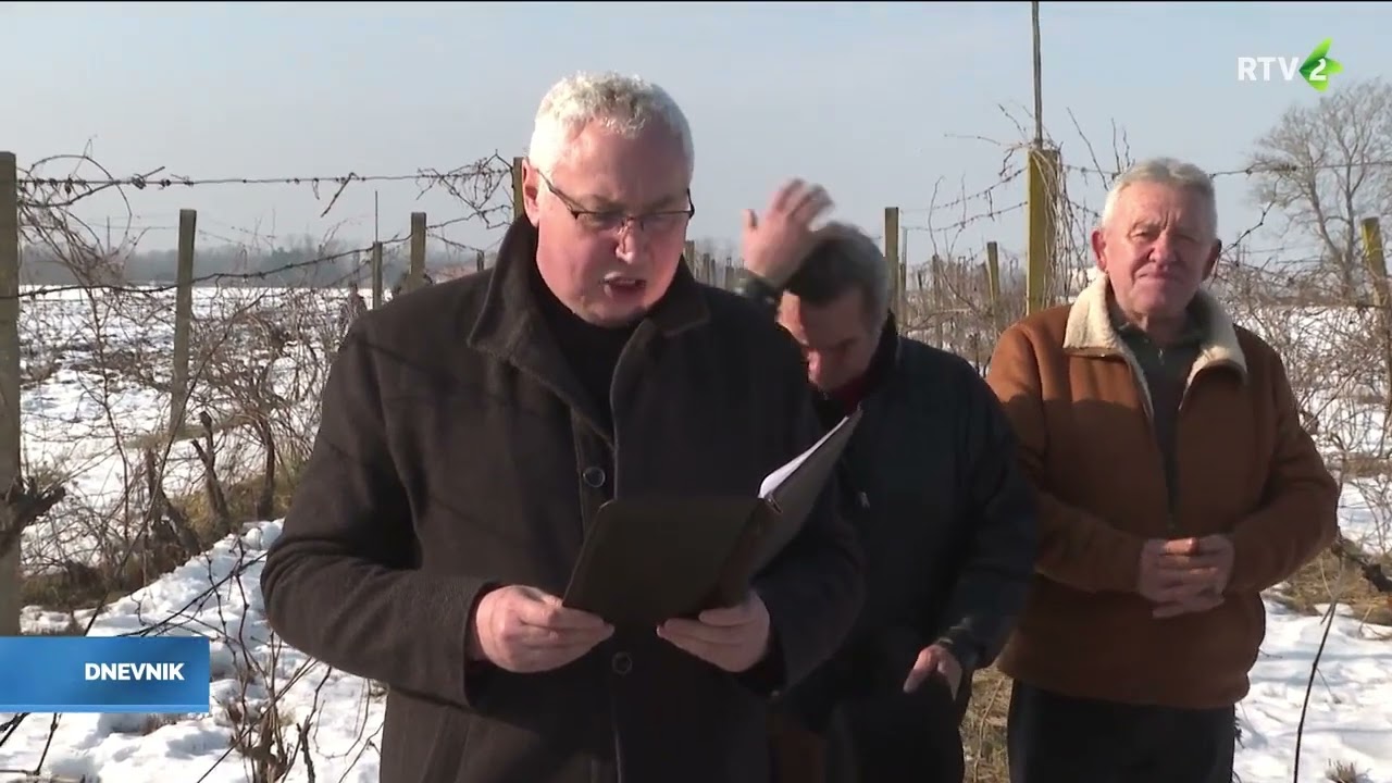 Vinkovo obilježeno u vinogradima diljem Srijema