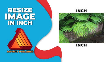 How to resize image in affinity publisher in inches