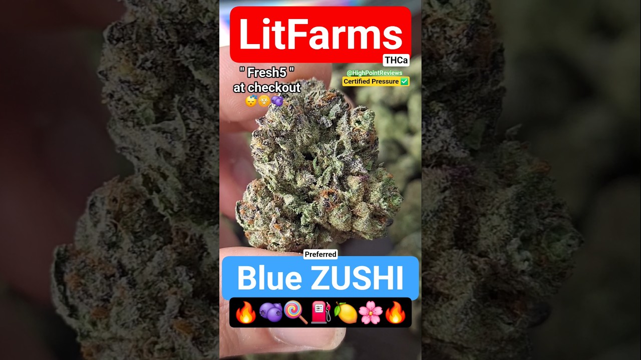 🫐 BLUE RASPBERRY TERPS!? 🫐 LitFarms : Blue Zushi THCa [Preferred] 🔥🔥🔥