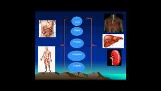 Arterial blood gases interpretation plasma  Physicochemistry -2/29 (English)