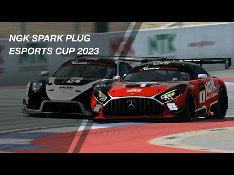 NGK SPARK PLUG