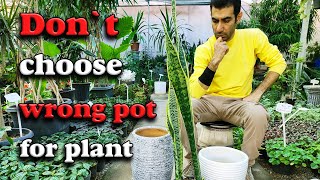 Snake plant pot | How to choose right pot for Snake plant?