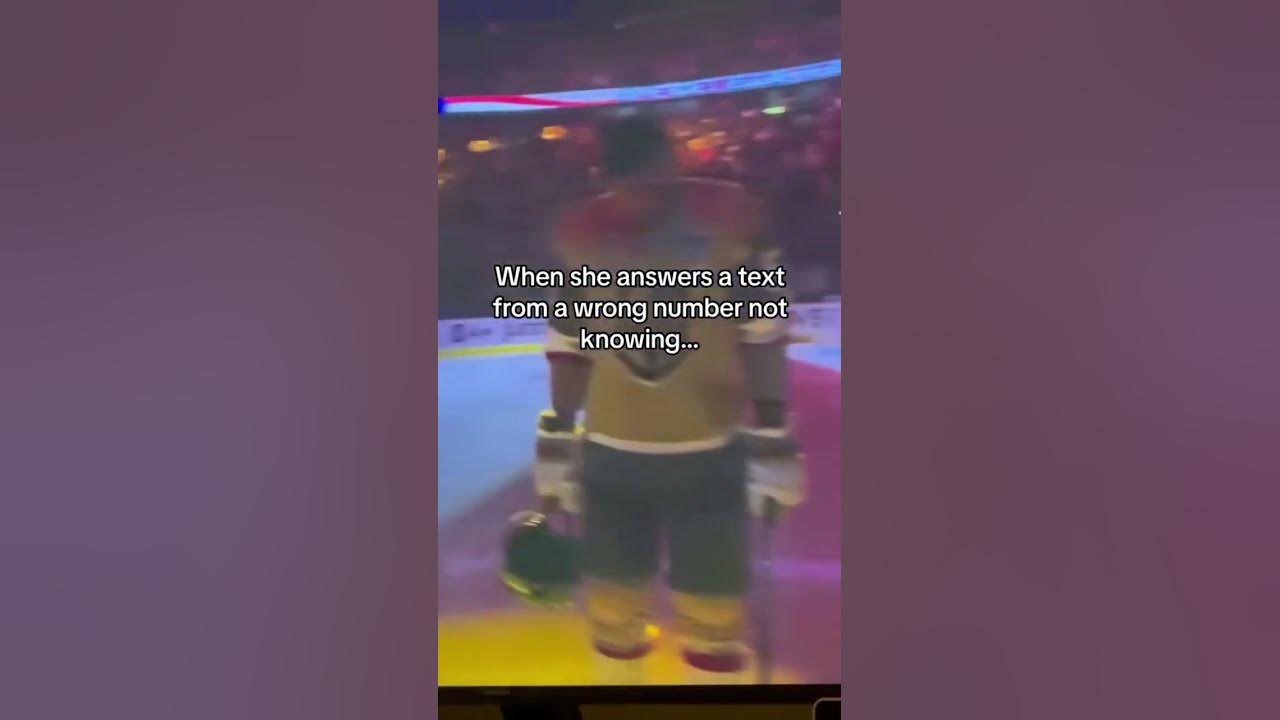 the-pucking-wrong-number-by-cr-jane-romancebooks-hockeylover