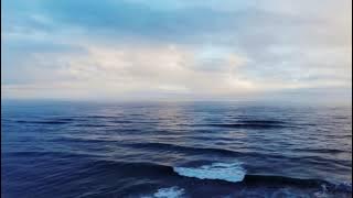 Leo Rojas - Der einsame Hirte (Videoclip)