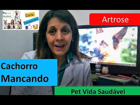 Vídeo: Cuidar de um cão com deficiência