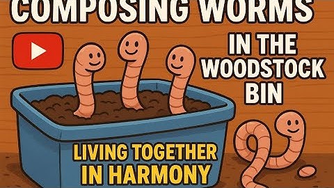 Wat gebeurt er als drie wormensoorten samenleven? Woodstock Wormenbaktest!