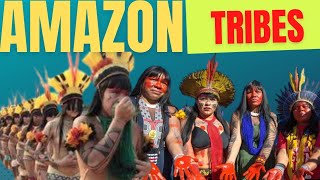 How Many Tribes Live In Amazon The Scale Of Deforestation Amazon Tribes Culture Amazon