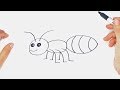 How to draw an insect step by step