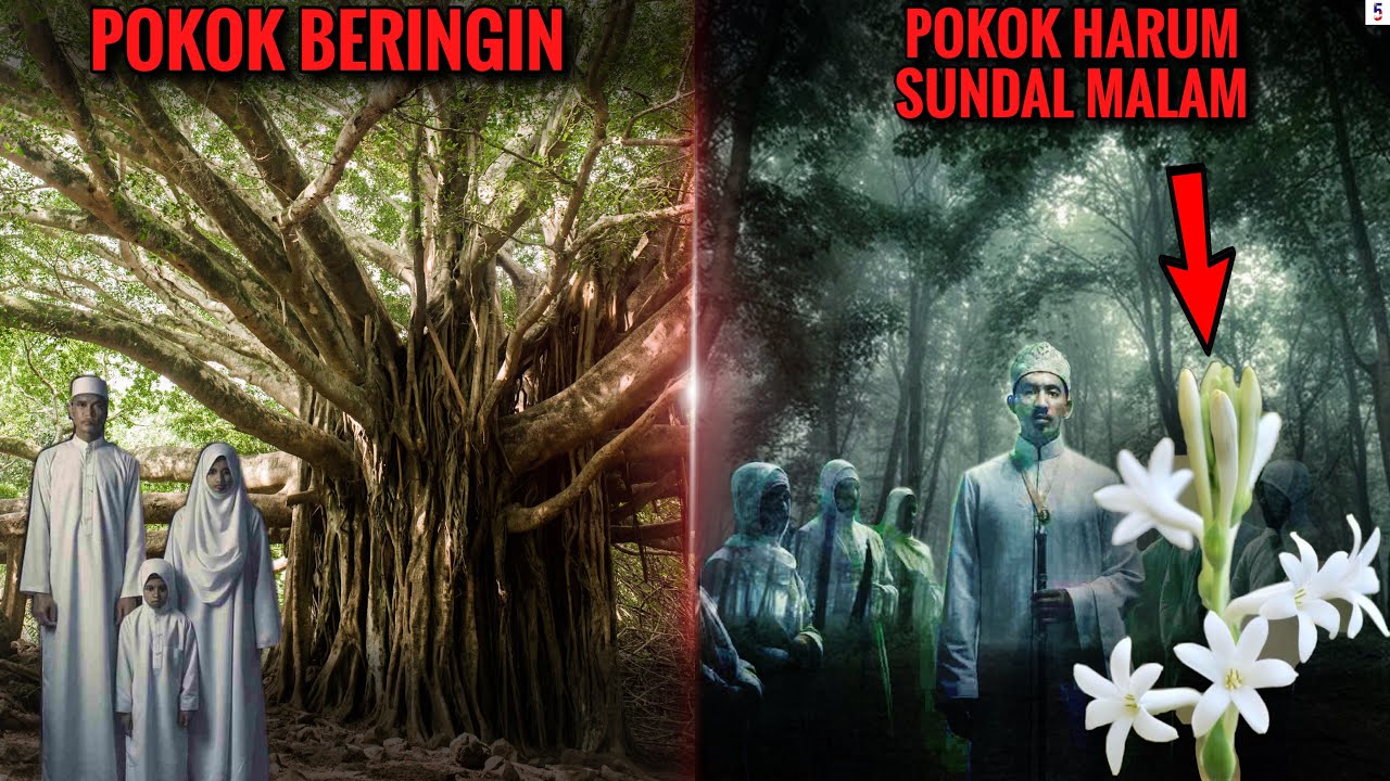 5 POKOK PALING MISTIK DI MALAYSIA YANG RAMAI PERLU TAHU