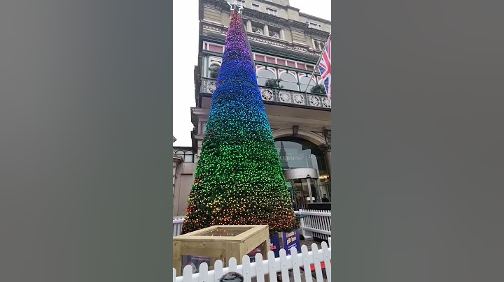 🌲ชมต้นครีสต์มาสในกรุงลอนดอน🎅