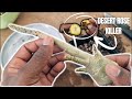Desert Rose Root Rot | Saving your Adenium Obesum