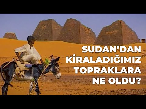 Video: Coleopteran Lepironia Tehlikeli Bir Zararlıdır