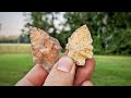 Father's Day Hunt For Native American Artifacts! Finding Arrowheads in a South Georgia Farm Field