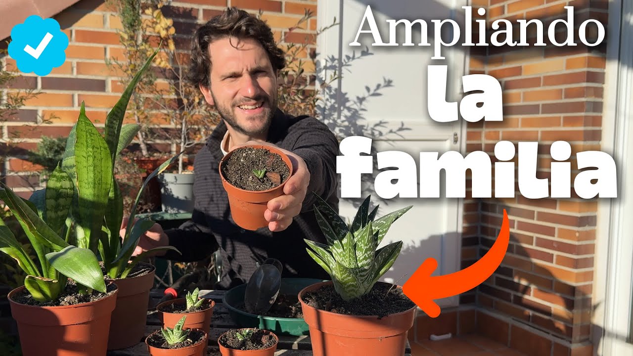 Varias Alegrías Semanales 😁