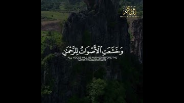 تلاوه نديه من سوره طه القارئ طارق محمد