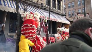 Bundle Of 20,000 Firecrackers At Chinese New Year Lion Dance In Philadelphia 費城 春节 爆竹