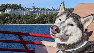 The Huskies Have to Leave Mackinac Island