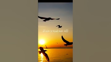 {لو أنزلنا هذا القرآن على جبل🥀} حالات واتس اب قرآن القارئ رعد الكردي {سورة الحشر} 🤍🥺