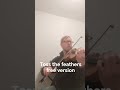 Irish music violin fiddle folk music Toss the feathers #celtic #irishmusic #violin #folkmusic