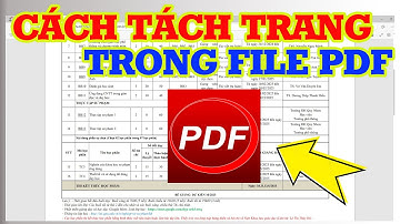 Hướng dẫn cách cắt trang trong PDF nhanh nhất