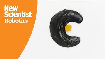 The magnetic slime robot that could retrieve accidentally swallowed objects