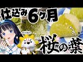 【大発見の続き】桜のアノ味を確かめるために、葉っぱを6ヶ月も塩漬けにした結果。