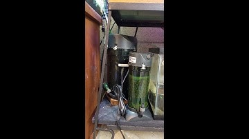 Eheim Classic 150 Canister Filter