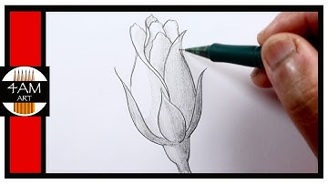 How to Draw a ROSE BUD in Pencil