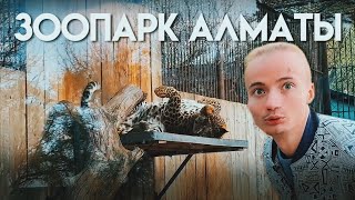 видео: ТОП ЗООПАРКОВ МИРА. АЛМАТЫ. Откусили лапу леопарду!? Правда самый грязный? картинка: ТОП ЗООПАРКОВ МИРА. АЛМАТЫ. Откусили лапу леопарду!? Правда самый грязный?